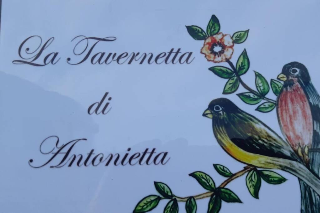 La Tavernetta Di Antonietta Apartment